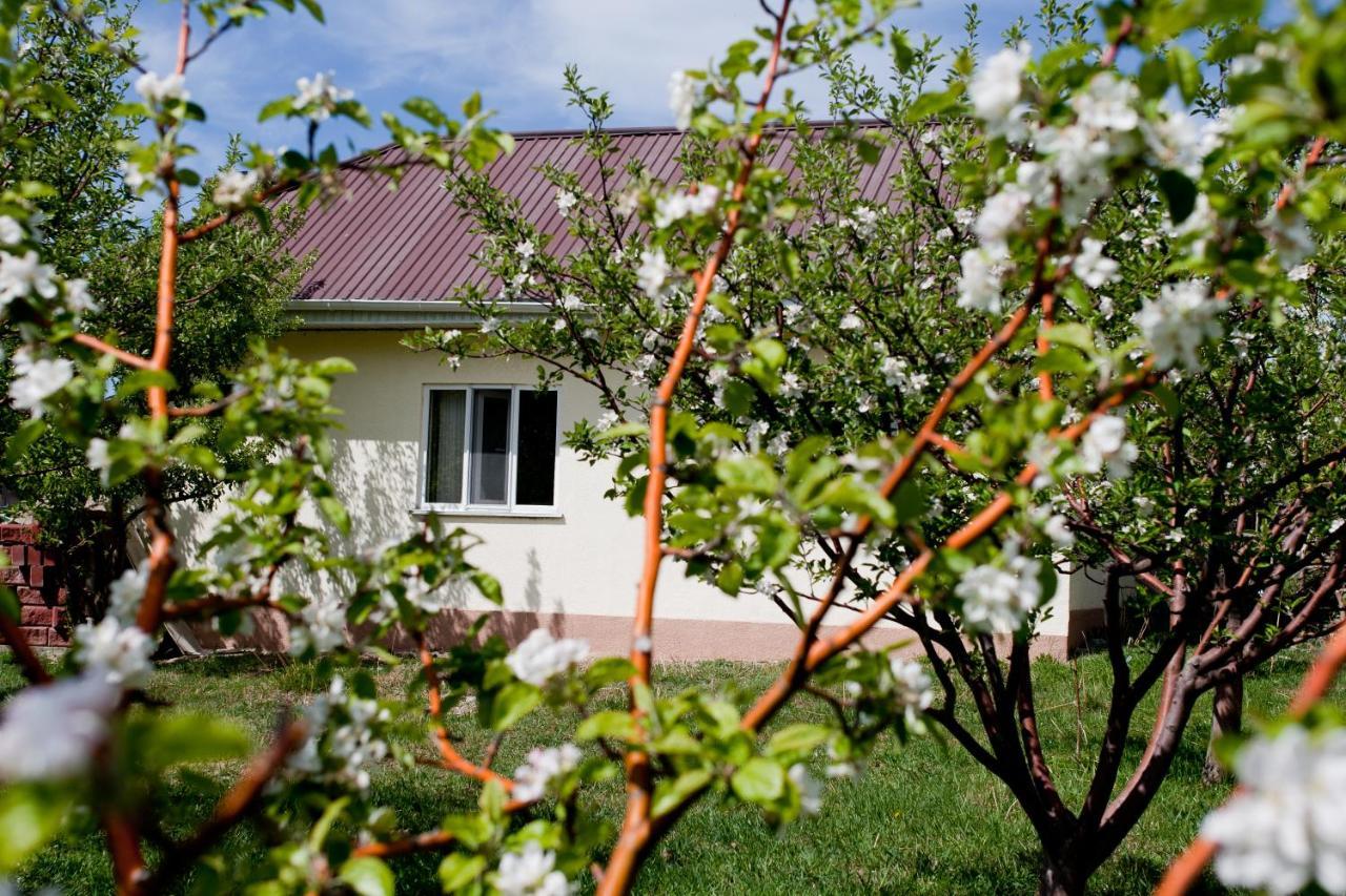 Barskoon Guest House المظهر الخارجي الصورة